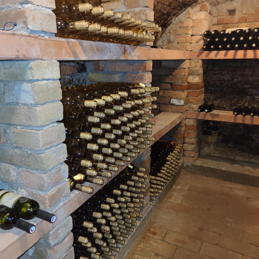 Apartmán Cabernet Velké Pavlovice Esterno foto