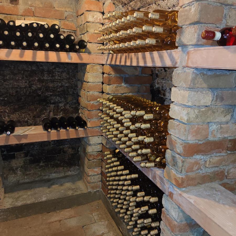 Apartmán Cabernet Velké Pavlovice Esterno foto