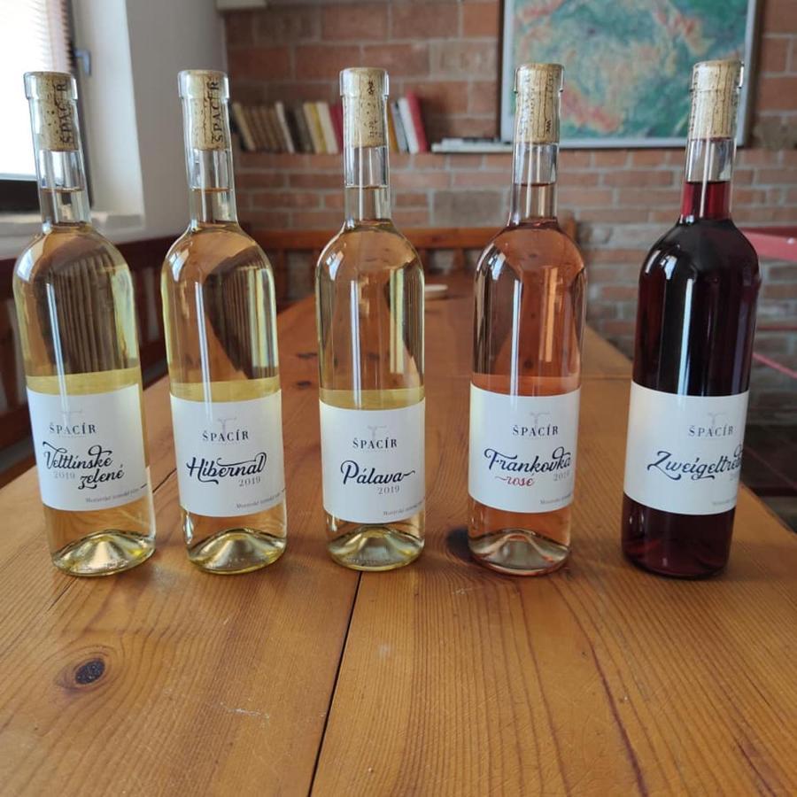 Apartmán Cabernet Velké Pavlovice Esterno foto